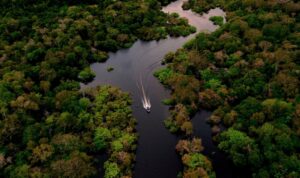 zyra-e-okb:-bota-po-humbet-10-milione-hektare-pyje-tropikale-cdo-vit