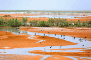 akademiku-paralajmeron-se-rrafshnalta-qendrore-e-iranit-mund-te-shpopullohet-per-shkak-te-krizes-se-ujit