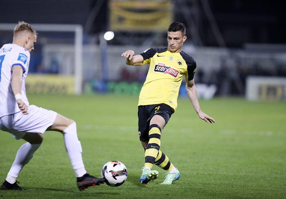 prurje-e-mundshme-te-shqipria,-mbrojtsi-i-aek-n-lupn-e-kuqezinjve