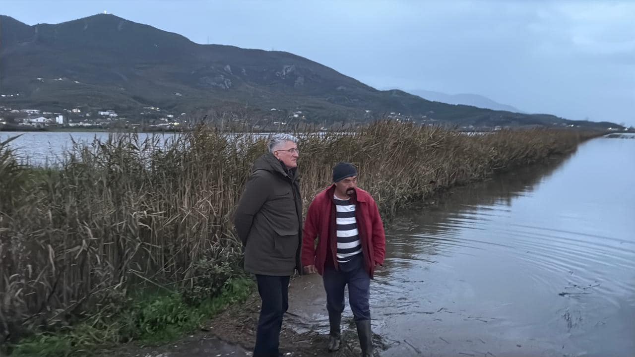 mijra-hektar-ndodhen-nn-uj,-agron-gjekmarkaj-n-zonat-e-prmbytura-t-lezhs:-fermert-prballen-me-humbje-t-mdha,-institucionet-japin-vetm-deklarata-jo-zgjidhje