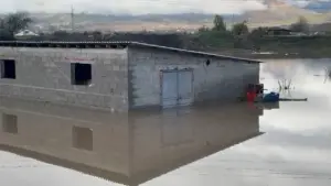 reshjet-intensive-ne-pogradec/-prezence-e-ujit-ne-katet-e-para-te-banesave,-familjet-ne-verdove-pa-ndihme