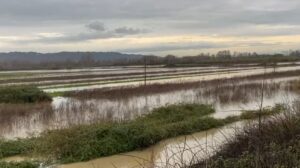 del-nga-shtrati-lumi-ishem,-permbyten-qindra-hektare-toke-bujqesore,-izolohet-nje-lagje