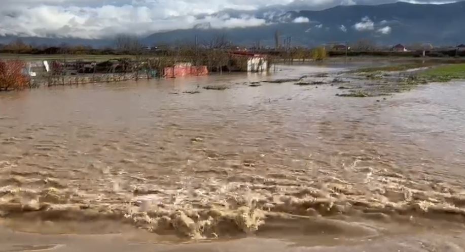 situata-nga-moti-i-keq/-pogradec,-bllokohet-rruga-ne-fshatin-peshkepi,-emergjencat-civile-ne-terren