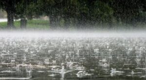 parashikimi-i-i-motit-per-sot,-22-nentor-2025