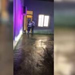 ndodh-ne-librazhd!-i-dha-ciftit-te-bashkeshorteve-valium-dhe-me-pas-i-vodhi-banesen,-arrestohet-dhendri.-te-moshuarit-rende-ne-qsut