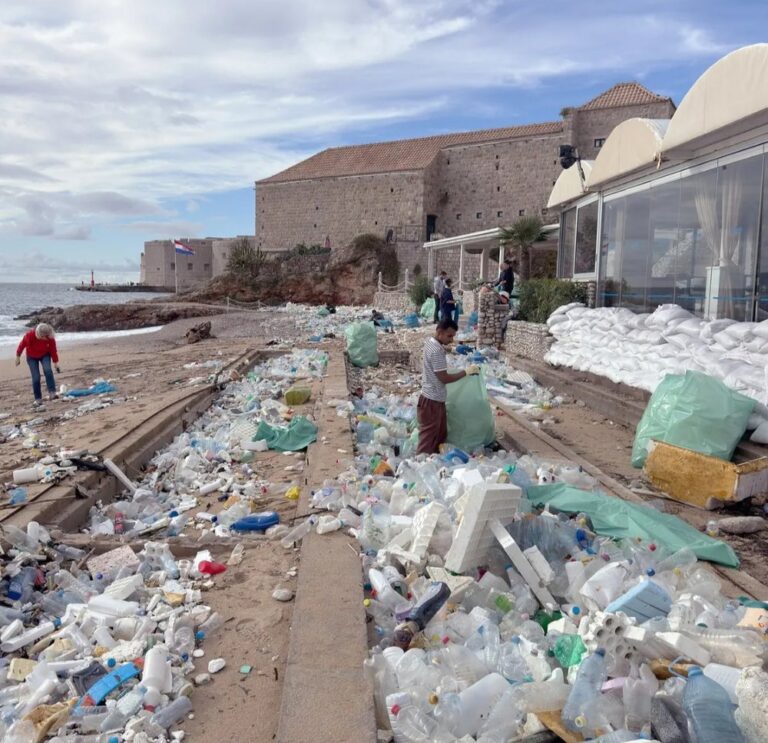 kroaci,-plazhi-i-dubrovnikut-nen-pushtetin-e-plehrave-te-shqiperise