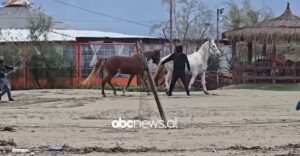 gare-hipizmi-ne-fier/-bregdeti-i-darzezes-eshte-kthyer-kete-te-diel-ne-piste-garash-me-kuaj