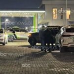 pamje-nga-vendngjarja/-elbasan,-ekzekutohet-brenda-automjetit-biznesmeni