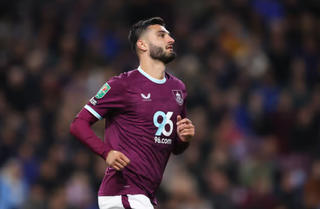 broja-si-kokrra-e-molles/-sulmuesi-kuqezi-kalon-demtimin,-luan-ne-kampionatin-anglez