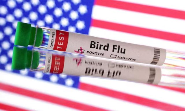 viktima-e-pare-nga-gripi-i-shpendeve/-banori-i-uashingtonit-u-diagnostikua-me-varianitn-h5n5