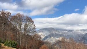 parashikimi-i-motit,-13-dhjetor-2025