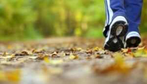 studimi:-ecja-e-shpejte-mund-te-ngadalesoje-procesin-biologjik-te-plakjes