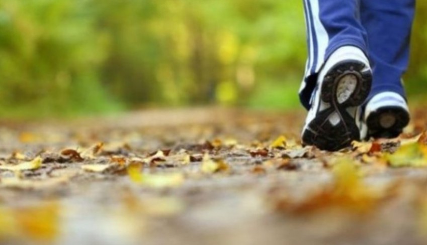 studimi:-ecja-e-shpejte-mund-te-ngadalesoje-procesin-biologjik-te-plakjes