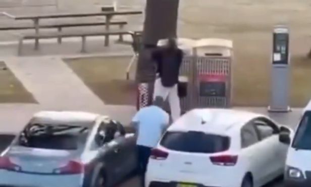 “eshte-nje-hero!”/-carmatosi-agresorin-e-masakres-ne-australi,-familjaret:-u-plagos-nga-dy-plumba!-gjendja-e-tij-…