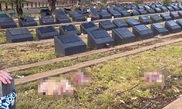 s’ka-paqe-per-australine!-sulm-vandal-ne-varrezat-myslimane,-gjenden-koka-te-prera…