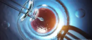 si-u-shpernda-ne-mbare-europen-nje-gjen-kanceri-i-rralle?