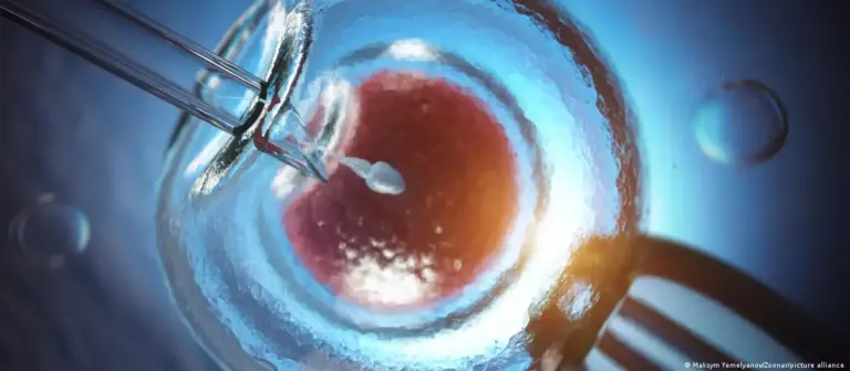 si-u-shpernda-ne-mbare-europen-nje-gjen-kanceri-i-rralle?