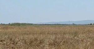 shirat-shkaterruan-grurin/-myzeqe,-fermeret-nisin-fushaten-e-dyte-te-mbjelljes