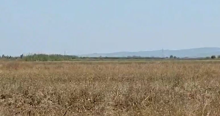 shirat-shkaterruan-grurin/-myzeqe,-fermeret-nisin-fushaten-e-dyte-te-mbjelljes