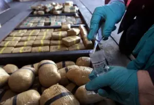 greqia-godet-nje-rrjet-nderkombetar-te-trafikut-te-kokaines