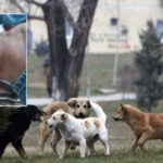 qente-endacake-bejne-kerdine-ne-klos,-5-persona-perfundojne-ne-spital