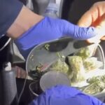 emrat/-u-kapen-me-droge-ne-makine-gati-per-shitje,-dy-te-arrestuar-ne-shkoder