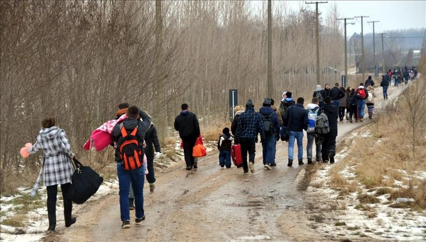 mbreteria-e-bashkuar-dhe-greqia-nenshkruajne-nje-pakt-te-ri-per-te-luftuar-trafikimin-e-qenieve-njerezore