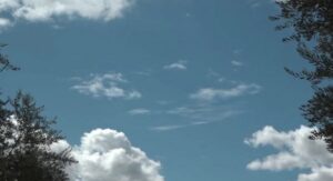 parashikimi-i-motit,-19-dhjetor-2025