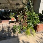 foto+video/-ndertimi-pa-leje-ne-tarracen-e-nje-pallati-ne-tirane-demton-banesat-e-fqinjeve,-imt-vendos-gjobe-dhe-urdheron-shembjen-e-objektit