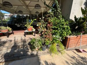 foto+video/-ndertimi-pa-leje-ne-tarracen-e-nje-pallati-ne-tirane-demton-banesat-e-fqinjeve,-imt-vendos-gjobe-dhe-urdheron-shembjen-e-objektit