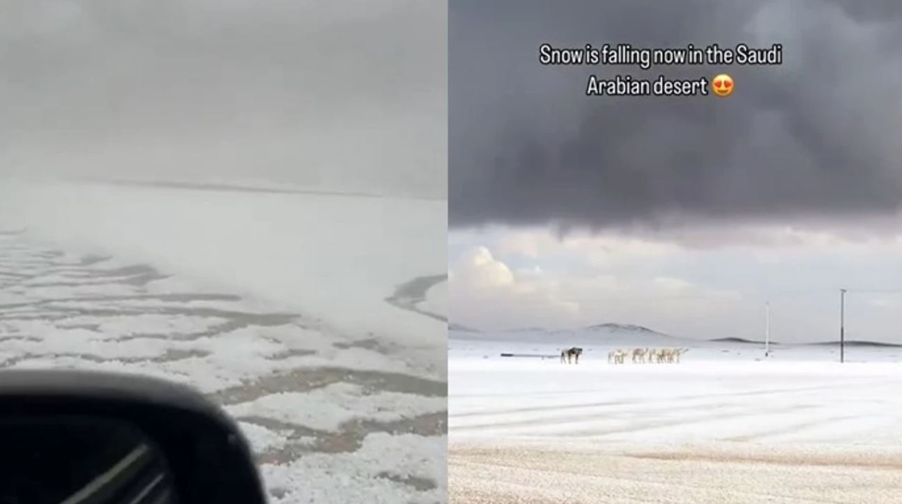 shkretetira-e-arabise-saudite-zbardhet-nga-debora