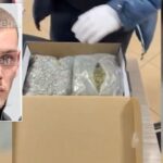 detaje/-u-kap-me-droge,-23-vjecari-domeniko-cibaku-do-ta-shiste-ne-lokalet-e-zones-se-“5-majit”.-droga-erdhi-me-poste-nga-kanadaja-(emri)