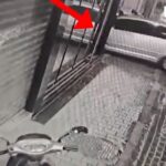 video/-vlore,-vendosen-lende-plasese-ne-porten-e-nje-banese,-vihen-ne-pranga-autoret-e-dyshuar-babe-e-bir