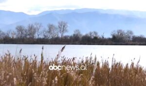 guret-e-shtepise-time/-shega-lezhjane,-ishulli-i-mrekullive!