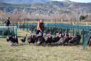 baldushk,-hapet-tregu-i-shpendeve,-tradita-e-fundvitit-qe-mbledh-qytetaret-e-tiranes