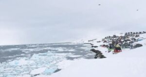 trump-rikthen-perplasjet-me-danimarken-pas-emerimit-te-nje-te-derguari-special-per-groenlanden