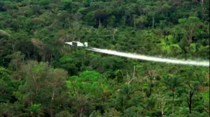 nen-presionin-e-shba-se,-kolumbia-fillon-sperkatjen-e-kokaines-me-drone