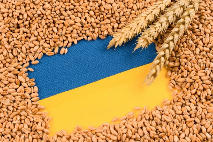 moldavia-do-te-heqe-kufizimet-per-importin-e-dritherave-nga-ukraina