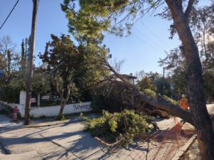 video/-ererat-e-forta-godasin-selanikun,-peme-dhe-objekte-te-rrezuara,-‘terbohet’-deti