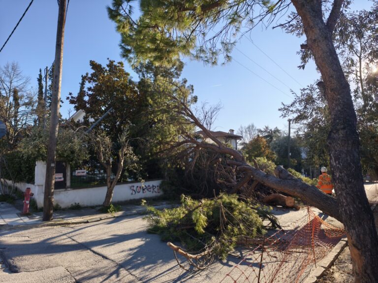 video/-ererat-e-forta-godasin-selanikun,-peme-dhe-objekte-te-rrezuara,-‘terbohet’-deti