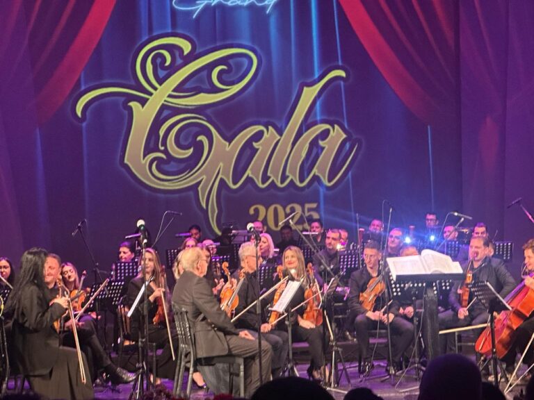 keshilli-bashkiak-elbasan-nderon-figura-te-shquara-me-titullin-“qytetar-nderi”,-mes-tyre-edhe-ish-kryeredaktorin-e-gazetes-“panorama”-te-ndjerin-aristir-lumezi