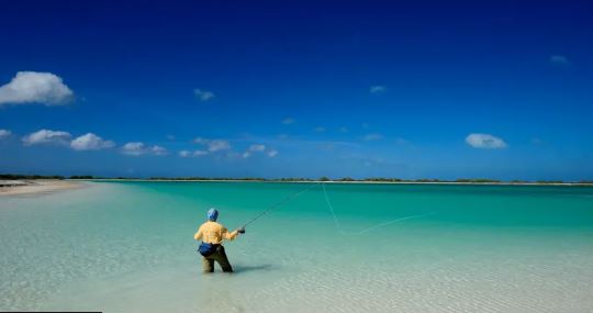 kombi-i-larget-i-paqesorit,-vendi-i-pare-ne-bote-qe-mirepret-vitin-2026