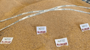 aku-kthen-51-ton-miser-te-ardhur-nga-serbia,-pas-analizave-te-kryera-rezultuan-me-aflatoksine