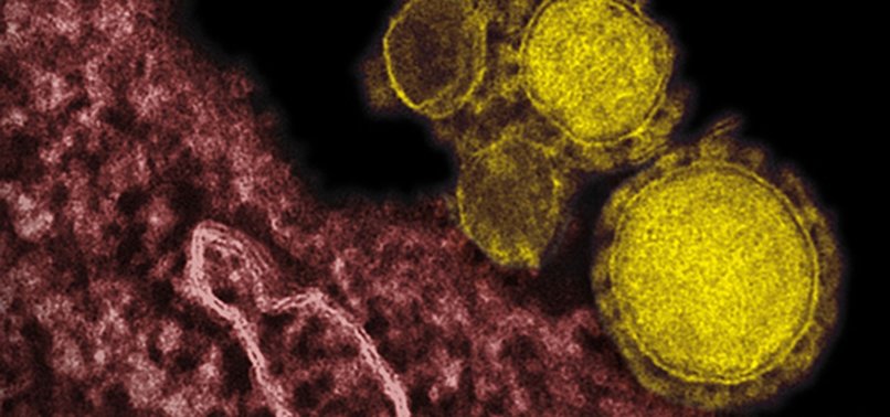 franca-zbulon-2-raste-te-koronavirusit-mers-tek-udhetaret-qe-kthehen-nga-jashte-vendit