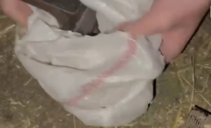 ne-makine-me-arme/-pranga-dy-personave-ne-tirane,-cfare-iu-gjeten-pas-kontrollit-ne-banese