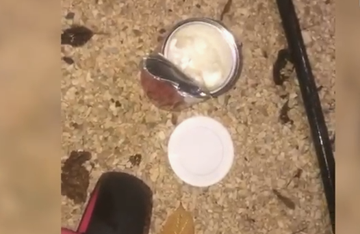 fshehu-kokaine-ne-oborrin-e-baneses/-tirane,-vihet-ne-pranga-41-vjecari