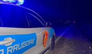 kryenin-vjedhje-te-ndryshme,-dy-te-arrestuar-ne-tirane