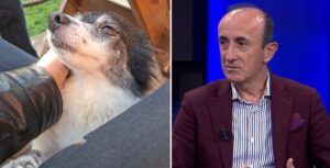 u-dhunua-dhe-u-hodh-ne-plehra,-dashnor-sula-adopton-qenushen-qe-u-abuzua-ne-shkoder