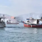 video/-greqia-ne-kaos,-bllokohet-porti-i-volos,-fermeret-e-blegtoret-bllokada-ne-zona-te-ndryshme-te-vendit