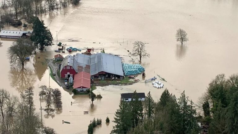 permbytje-katastrofike-ne-washington,-qytetaret-urdherohen-te-evakuohen-menjehere
